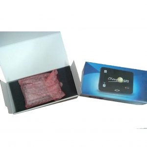 GPS-Chevystar-PW