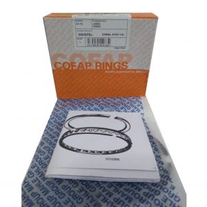 Anillo-Aveo-0.20-Cofap-PW2