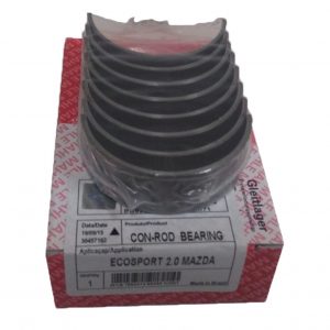 Concha-Biela-Ecosport-2.0-0.250.10-Mahle-PW