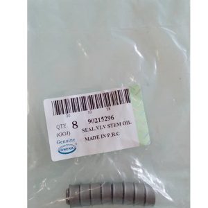 Gorro-Valvula-Corsa-ONEKA-PW